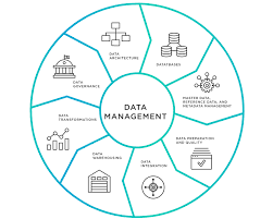 Metadata Solutions and Data Management
